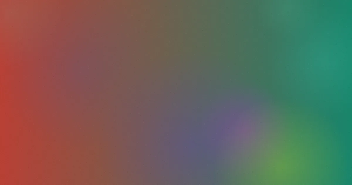 木棉花的春天攻略对比